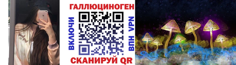 купить закладку  Рязань  Галлюциногенные грибы Psilocybe 